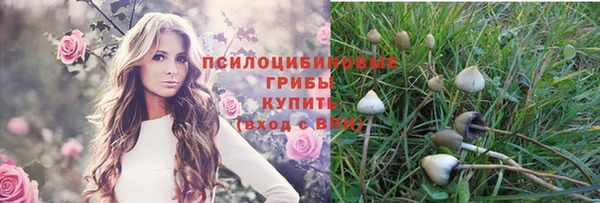 таблы Абаза