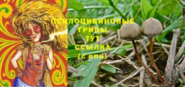 не бодяженный Фурманов